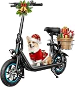 AWWSCOOTER C1 (B0FMK8CT3P)