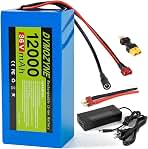 36V 48V Ebike Battery 12Ah 20Ah with 30A BMS (B0GS3GZWV1)